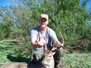 Whitetail